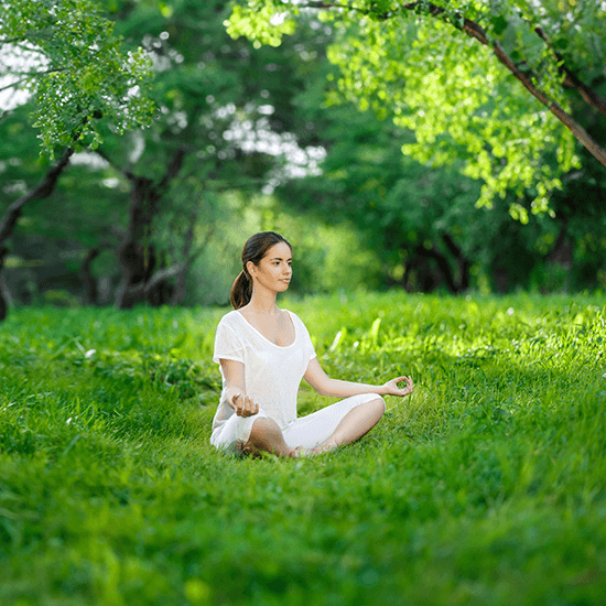 Yoga & Meditation Lawn